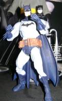 Batman (DC Superheroes) Custom Action Figure