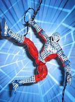 Bizarro Spider-Man ( Parker Peterson ) (Spider-Man) Custom Action Figure