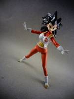 S.H Figuarts Sister of Vegeta Cilandra (Dragonball Z) Custom Action Figure