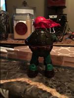 Raphael (Teenage Mutant Ninja Turtles) Custom Action Figure