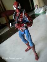 Spiderman (Marvel) Custom Action Figure