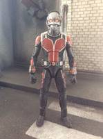 Ant-Man - Scott Lang (Marvel Legends) Custom Action Figure