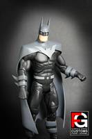DCUC Justice Lord Batman (DC Universe) Custom Action Figure