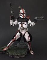 Arc Trooper Commander (Star Wars) Custom Action Figure