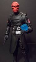 Red Skull (Marvel Legends Infinite Series) (Marvel Legends) Custom Action Figure