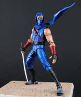 Ryu Hayabusa (Ninja Gaiden) Custom Action Figure