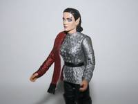 Female Romulan Commander (Star Trek) Custom Action Figure