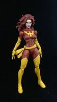 Dark phoenix ( jean grey) (Marvel Legends) Custom Action Figure