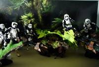 Troopers on endor (Star Wars) Custom Diorama / Playset