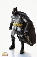 the batman (DC Direct) Custom Action Figure