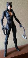 Catwoman (Batman - Arkham City) Custom Action Figure