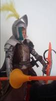 Knigth (Lord of the Rings) Custom Action Figure