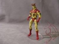 Captain Pollution (Captain Planet) Custom Action Figure