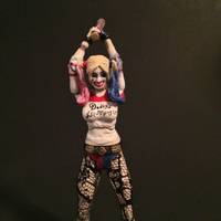 Harley Quinn (DC Universe) Custom Action Figure