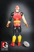 DCUC Lynx-O (Thundercats) Custom Action Figure
