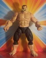 THE GENERAL General Wade Eiling Injustice Gang (DC Universe) Custom Action Figure