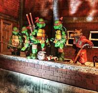 Neca style master splinter (Teenage Mutant Ninja Turtles) Custom Action Figure