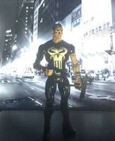 Frank Castle, the Punisher (Marvel) Custom Action Figure