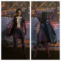The Huntress (DC Universe) Custom Action Figure