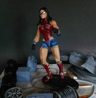 Wonder Woman (DC Universe) Custom Action Figure