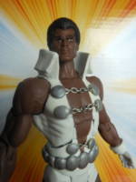 Tyroc (DC Universe) Custom Action Figure