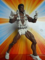 Tyroc (DC Universe) Custom Action Figure