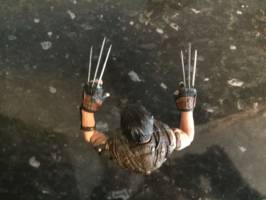 Wolverine (Marvel Select) Custom Action Figure