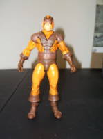 Goliath (Marvel Legends) Custom Action Figure