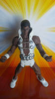 Tyroc Version 2 (DC Universe) Custom Action Figure