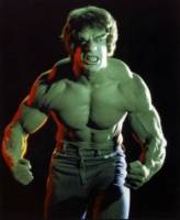 The Incredible Hulk (Classic 70's Lou Ferrigno Version) By Baliscon/MARVELOUS_CUSTOMS (Marvel Legends) Custom Action Figure