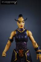 SERYN  heroic historian of the elders (Masters of the Universe) Custom Action Figure