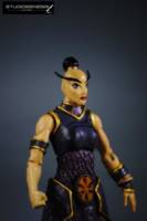 SERYN  heroic historian of the elders (Masters of the Universe) Custom Action Figure