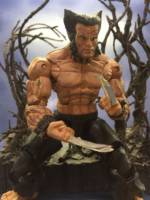 Wolverine (X-Men) Custom Action Figure