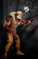 Sabretooth (Repaint) (X-Men) Custom Action Figure