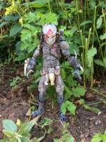Blood hound Predator (Predator) Custom Action Figure