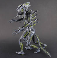 Harvestman Alien (Aliens) Custom Action Figure