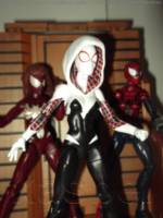 Gwen Stacy Spider Girl Marvel Legends (Marvel) Custom Action Figure