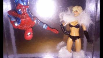 Black Cat (Team Catwoman) (Wrestling) Custom Action Figure