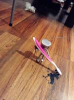 Chibi Robo (Nintendo) Custom Action Figure [Cleaning time]
