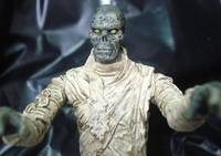 The Mummy (Movie Maniacs) Custom Action Figure