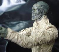The Mummy (Movie Maniacs) Custom Action Figure