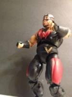 Horde General Vader (Wrestling) Custom Action Figure
