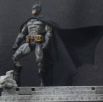 Batman (DC Superheroes) Custom Action Figure