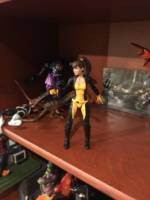 Kitty Pryde (Battlecat Shadowcat) (Marvel Legends) Custom Action Figure