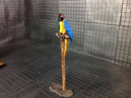 Parrot-pool (Marvel Legends) Custom Action Figure