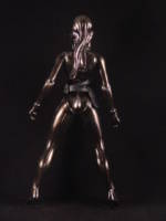 GHOST (Elisa Cameron) (Black Chrome Version) (DC Universe) Custom Action Figure