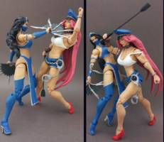 Kitana Vs. Poison (Mortal Kombat) Custom Action Figure