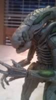 Xeno Boiler (Aliens: Colonial Marines) (Aliens) Custom Action Figure