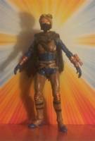 ANNA FORTUNE JSA  All-Stars (DC Direct) Custom Action Figure