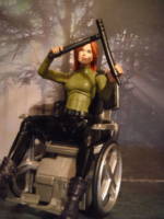 Barbara Gordon Oracle (DC Universe) Custom Action Figure